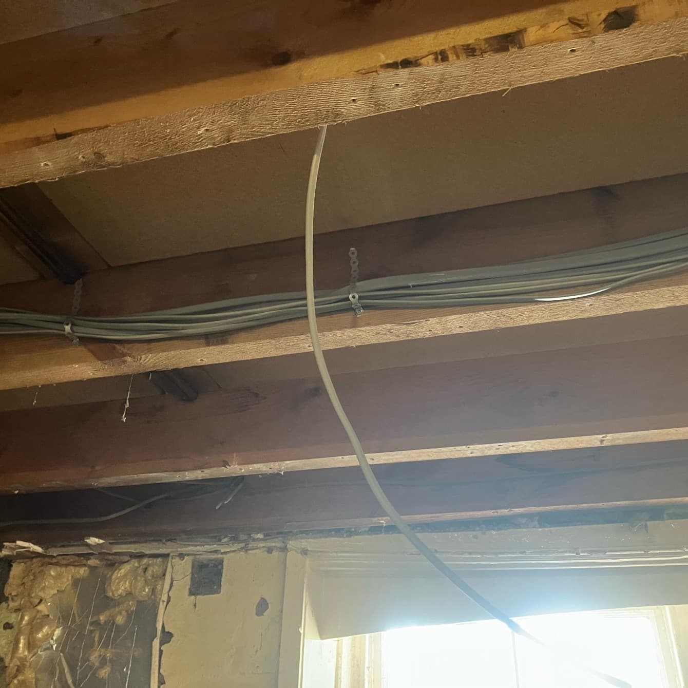 Rewire cabling clipped neatly along the ceiling joists of a period property